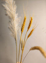 Load image into Gallery viewer, Aura pink Vase ( includes dried stems)