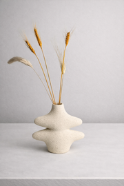 Petit Olla White Vase ( includes dried stems)