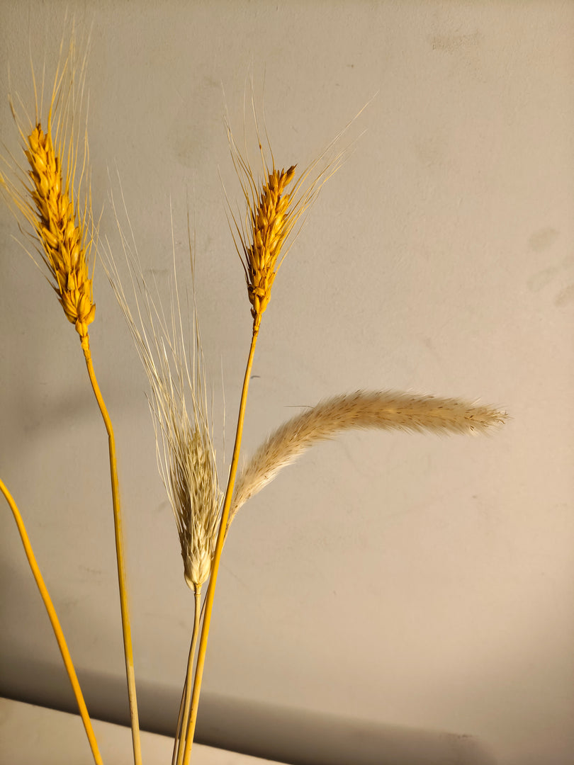 Alfeo white Vase ( includes dried stems)