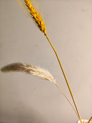 Ciambella Black Vase ( includes dried stems)