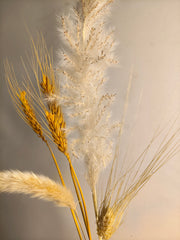 Helio pink Vase ( includes dried stems)